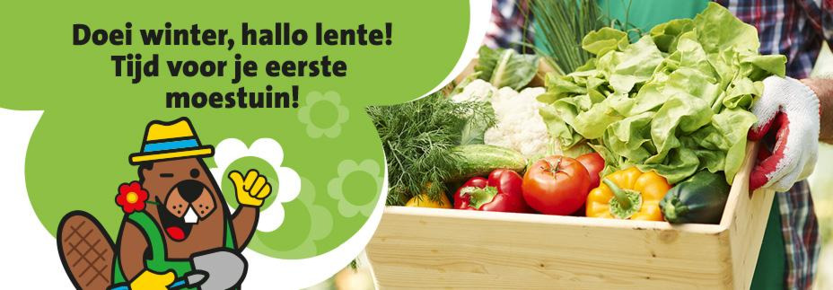 Blog eigen moestuin