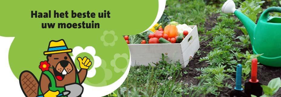 Blog - Haal het beste uit je moestuin