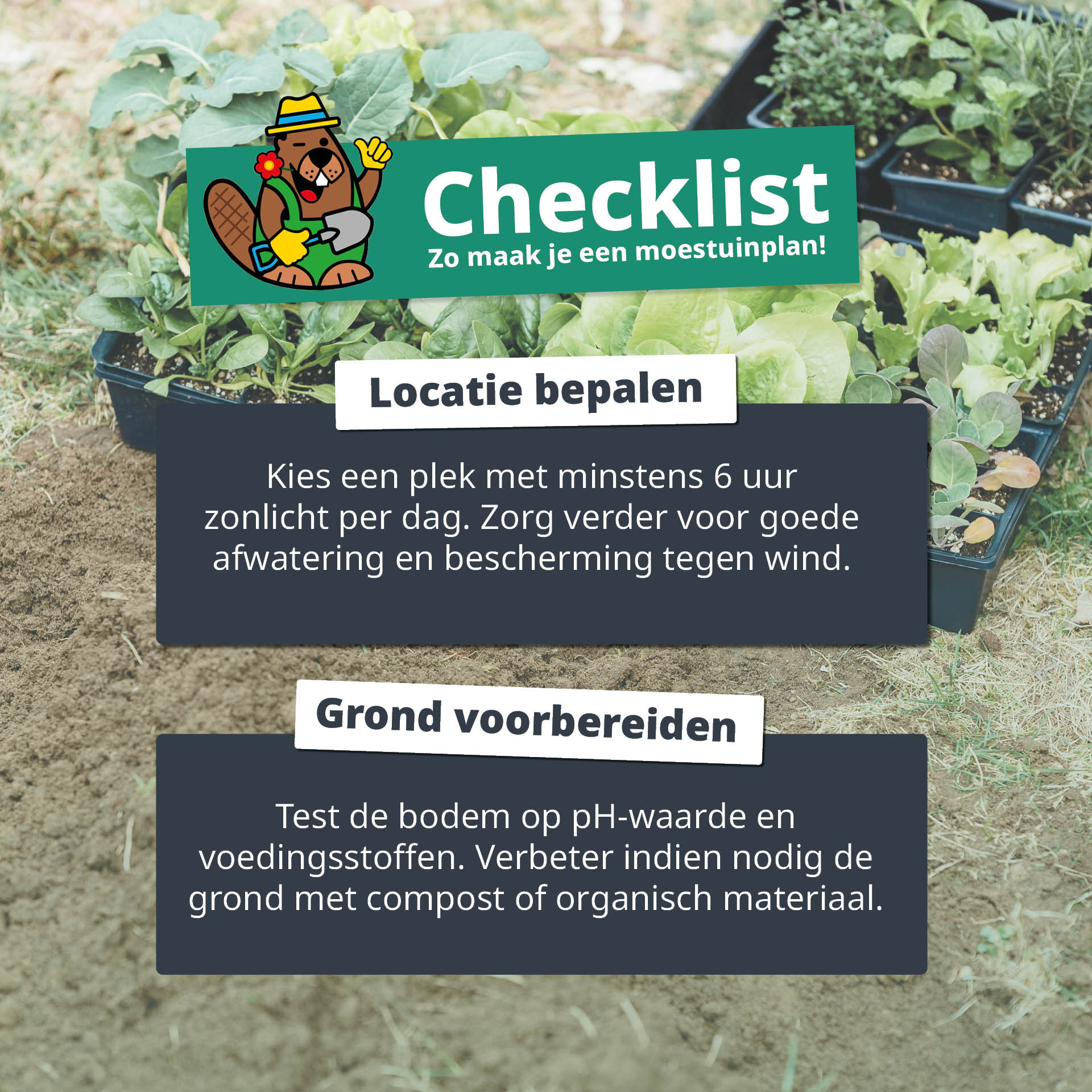 Moestuin plan checklist