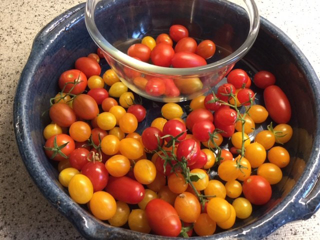 Tomaten geplukt