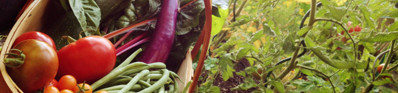 je eigen moestuin